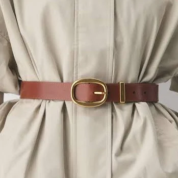 accessory Aritzia Lifetime Solid Brass Leather Wide Belt Aritzia $88