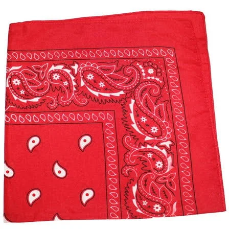 accessory Balec Paisley Double Sided Cotton Bandana Walmart - BandanasWholesale $8.99