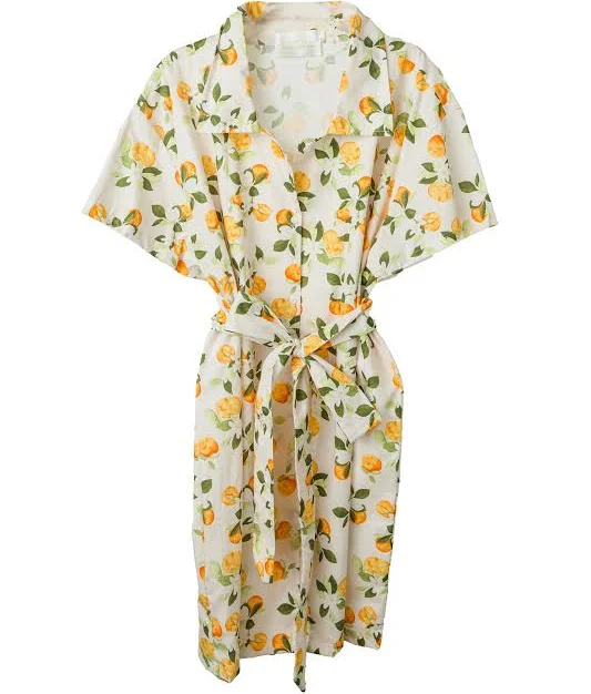 dress Belted Shirt Dress Violet & Brooks $88