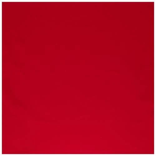 accessory Solid Bandana Hobby Lobby $0.99