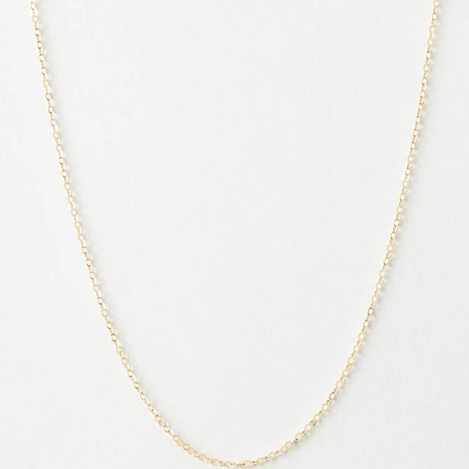 accessory 14K Gold Fill Dainty Chain GLDN $58